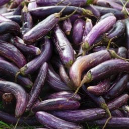 Close up on a bunch of eggplants.